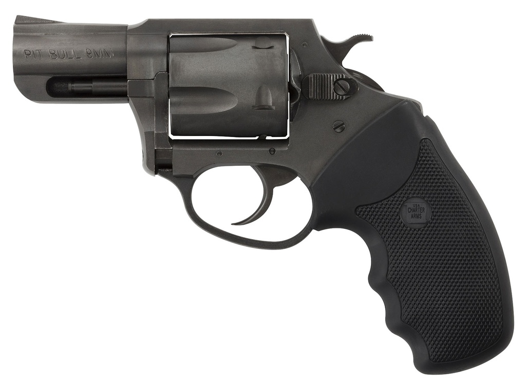 Charter Arms Bulldog 1