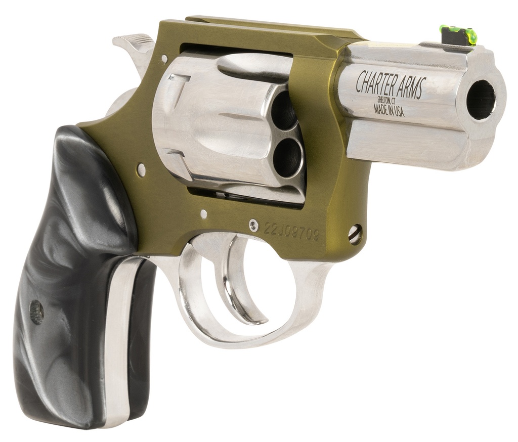 Charter Arms Undercover II 2