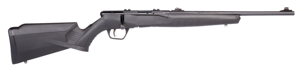 Savage Arms B22F Compact 1