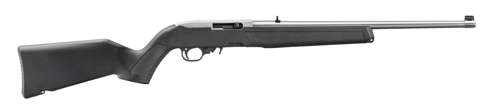 Ruger 10/22 Carbine 1