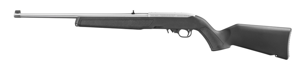 Ruger 10/22 Carbine 2