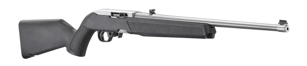 Ruger 10/22 Carbine 3