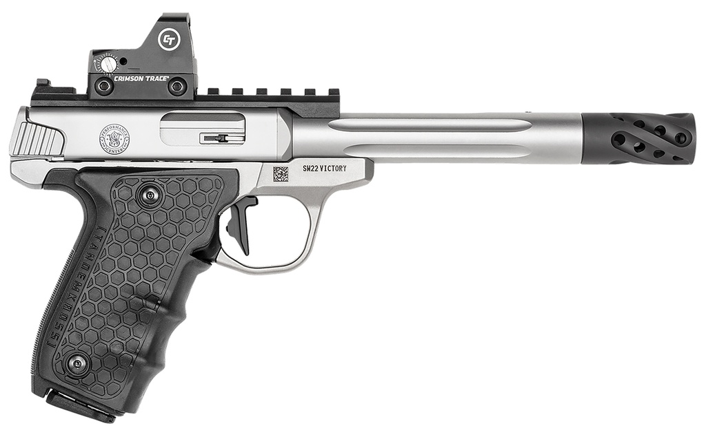 Smith and Wesson SW22 Victory Target 1