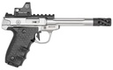 Smith and Wesson SW22 Victory Target 1