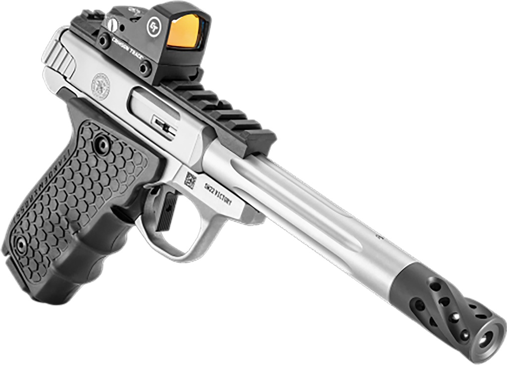Smith and Wesson SW22 Victory Target 3