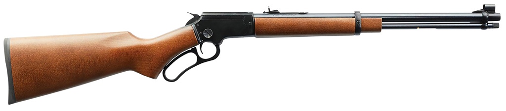 Chiappa Firearms LA322 Carbine Takedown 1