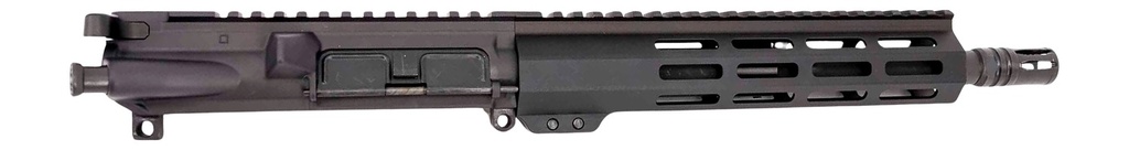 Tisas 1911A1 Stakeout 1