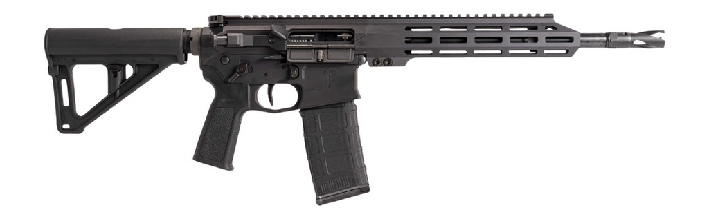 US PALM STORM CAT4 1