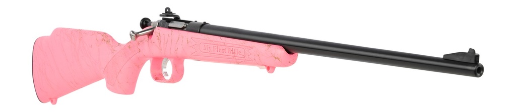 Keystone Sporting Arms Crickett 2