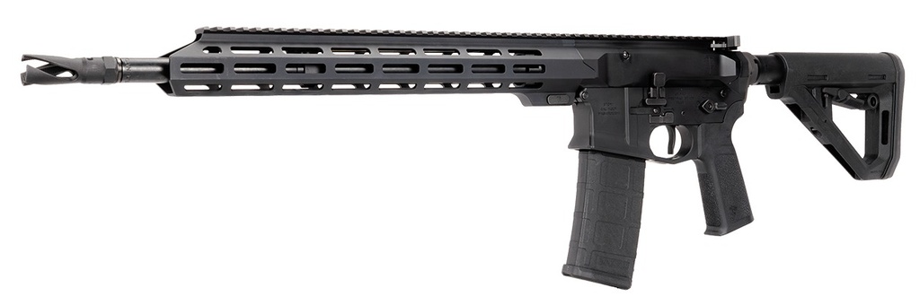 US PALM STORM CAT4 1