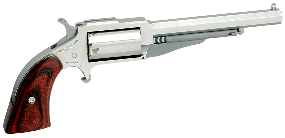 North American Arms The Earl 1
