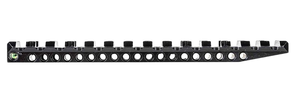 Tapco 10/22 Scope Base 1