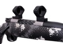 Weatherby Weatherby Mount/Rings 1