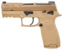 SIG SAUER P320 M18 Carry 1