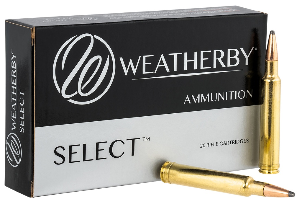 Weatherby 300WBY 165GR HDY INTERLOCK