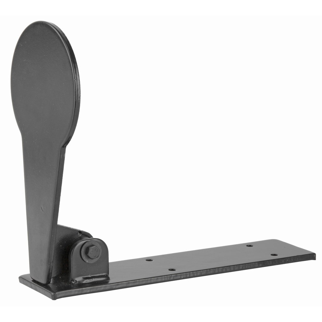 Birchwood Casey B/C W-OF-T POPPER RIMFIRE 4" PADDLE