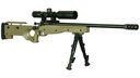Keystone Sporting Arms Crickett Precision Rifle