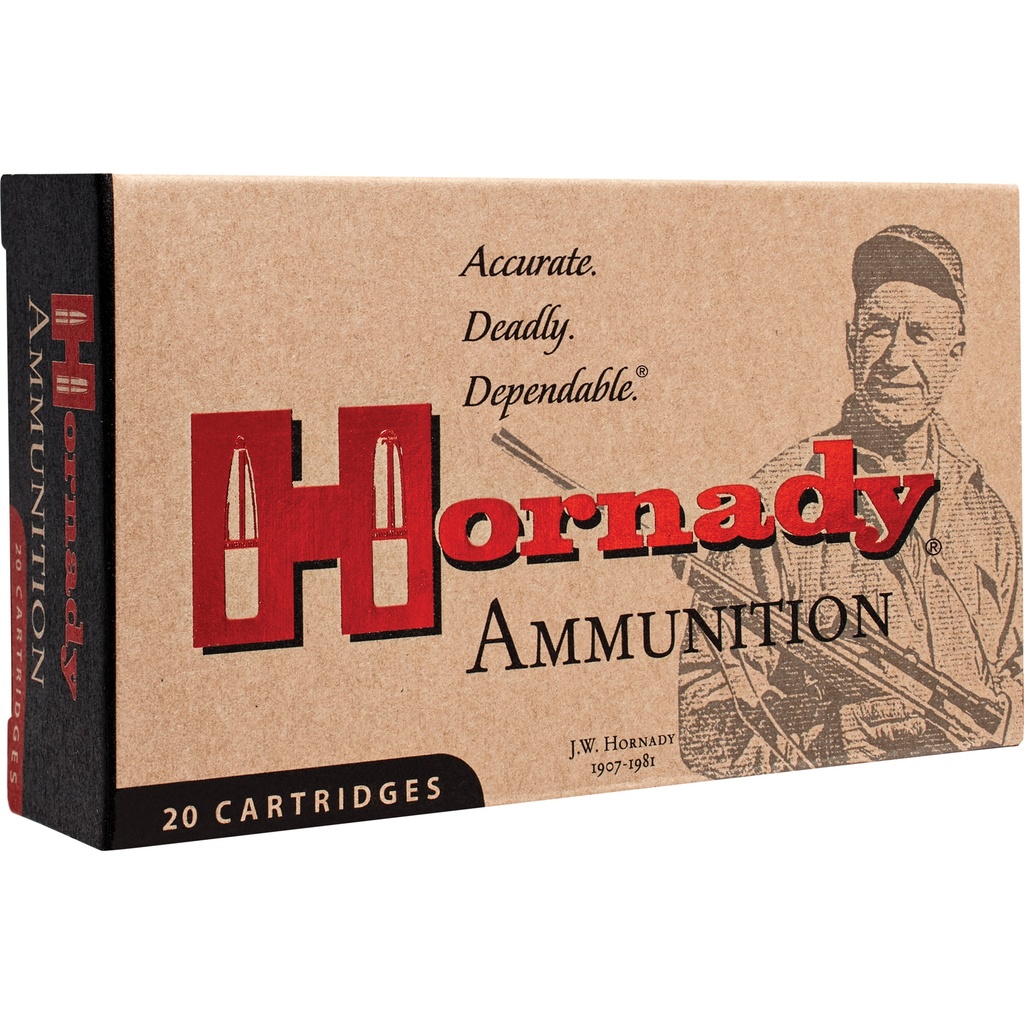 Hornady HRNDY 300BLK 110GR CX 20/200