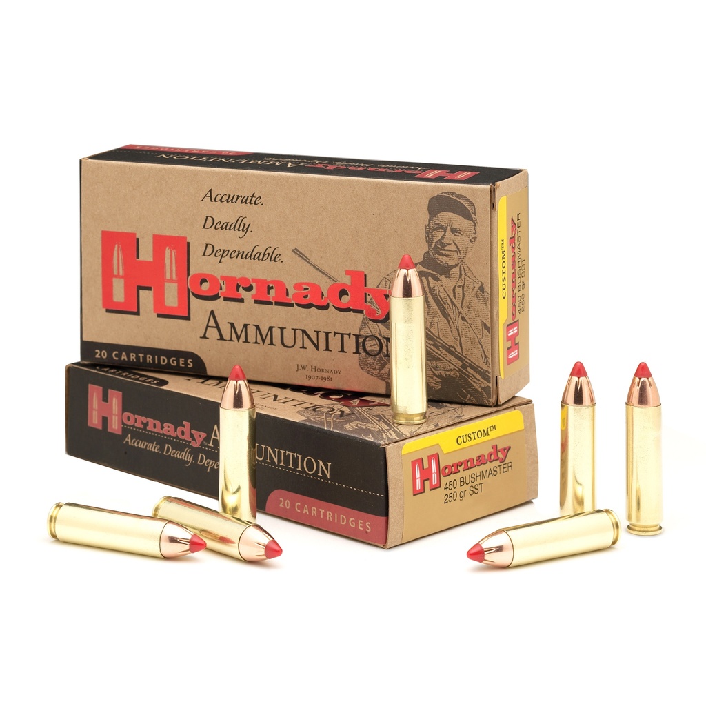 Hornady HRNDY 450BUSHMASTER 250GR FTX 20/200
