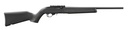 Ruger 10/22 Carbine