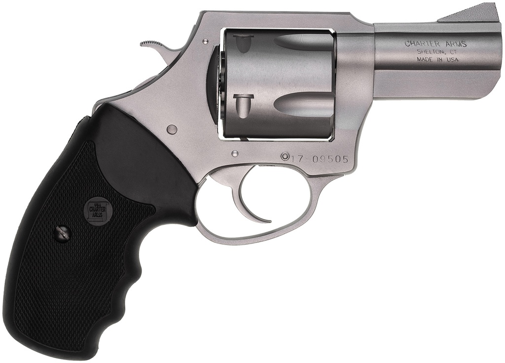 Charter Arms Pitbull