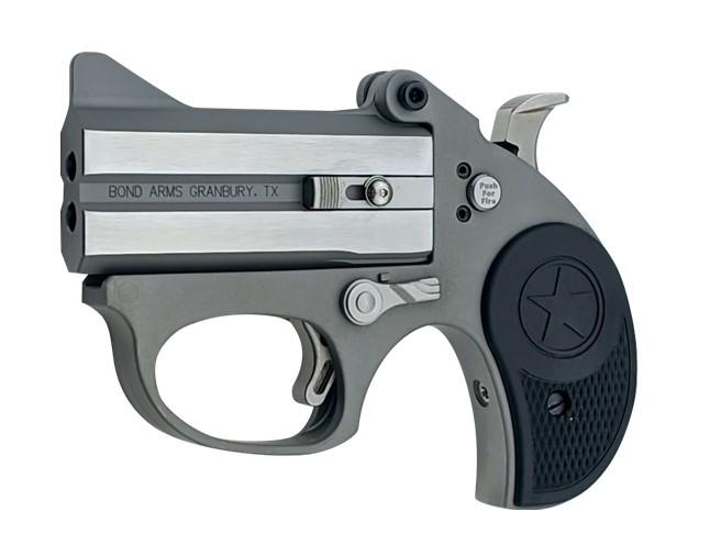 Bond Arms STINGER 22LR SS 3" FS