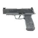 SIG P365AXG FUSE 9MM 21RD BLACK/GRAY