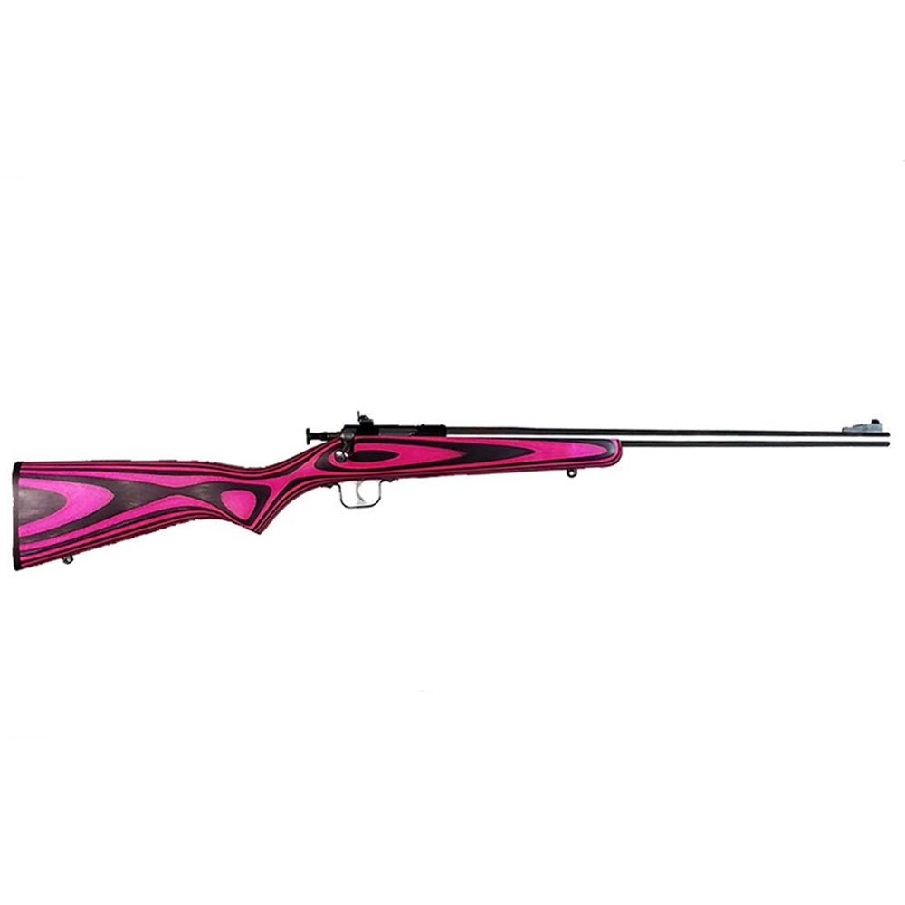 Keystone Sporting Arms CRICKETT 22LR SS/PINK LAM
