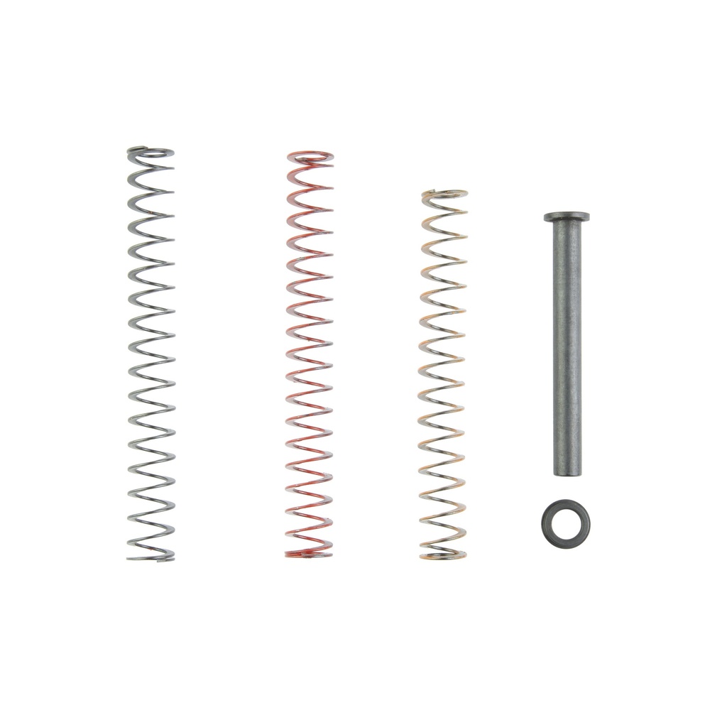 TRUE PREC RECOIL SPRNG KIT P365 3.1"