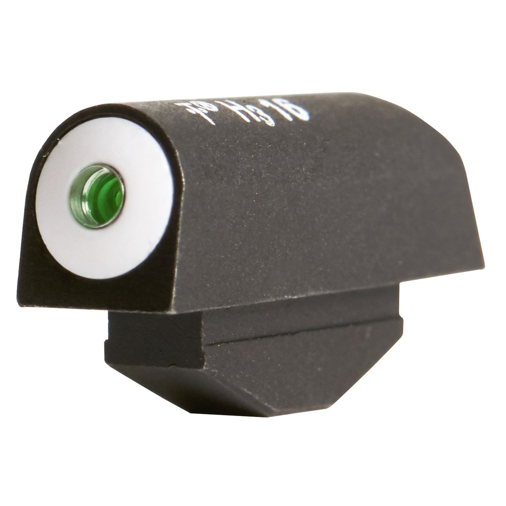 XS BIG DOT TRITIUM S&W J-FRM/RG SP10101