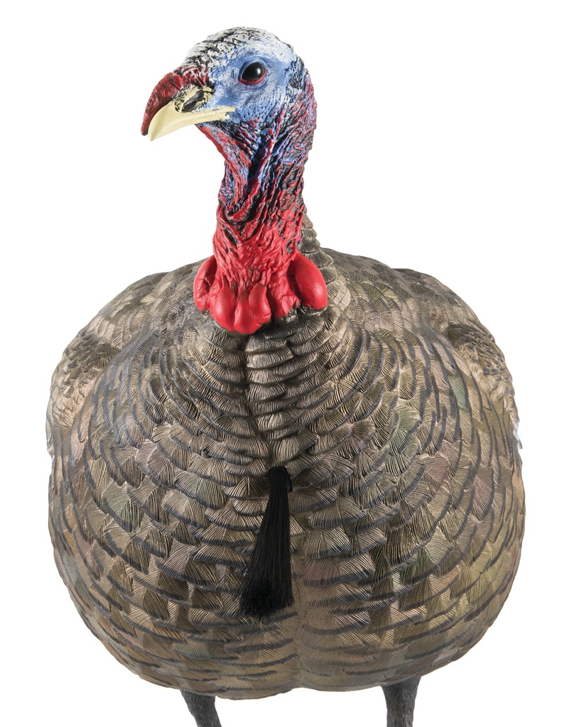 AVIAN-X LCD QUARTER STRUT JAKE TKY DECOY