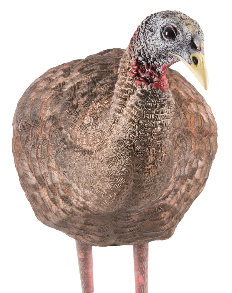 AVIAN-X LCD BREEDER HEN TKY DECOY