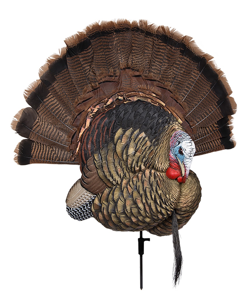 AVIAN-X TROPHY TOM TKY