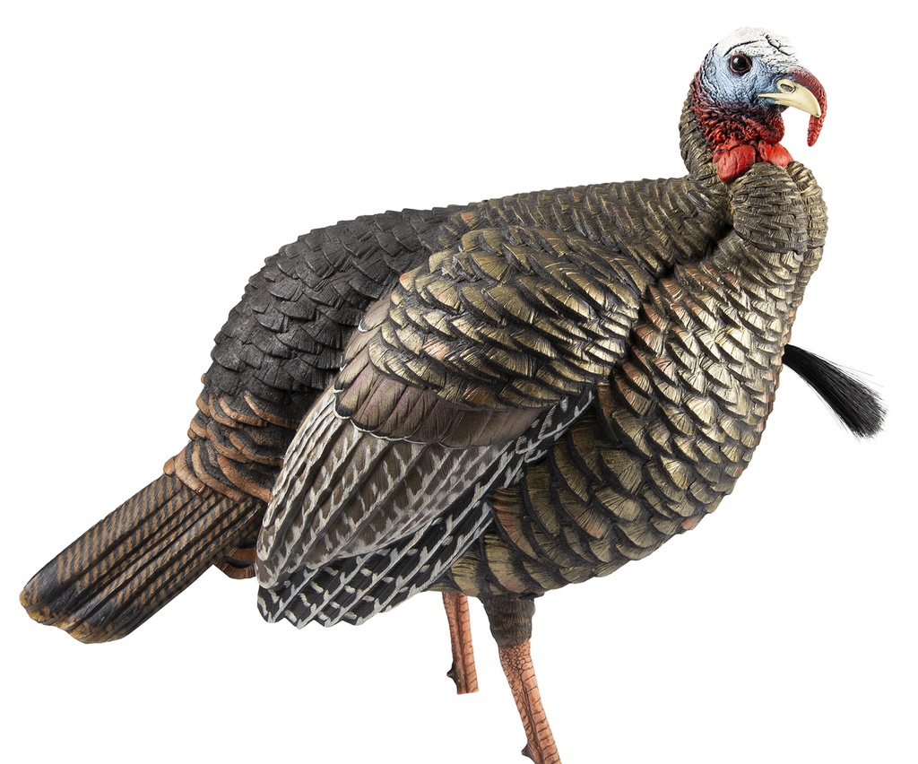 AVIAN-X HDR JAKE TKY DECOY