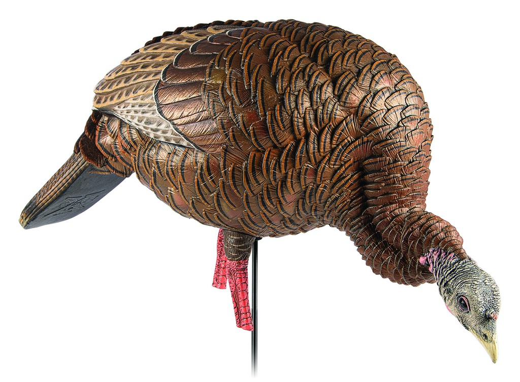 AVIAN-X HDR FEEDING HEN TKY DECOY