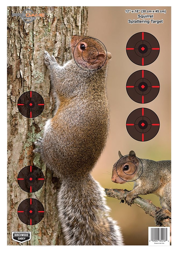 BIRCHWOOD CASEY PREGAME SQUIRREL TGT 12X18 8PK