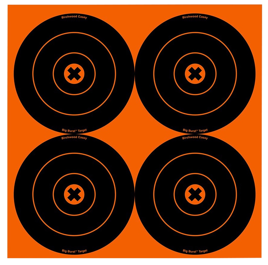 BIRCHWOOD CASEY BIG BURST 6 TARGET 12/PKG