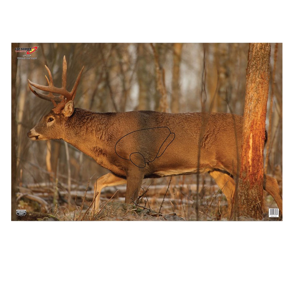 BIRCHWOOD CASEY EZE-SCORER DEER 23X35 2PK (12)