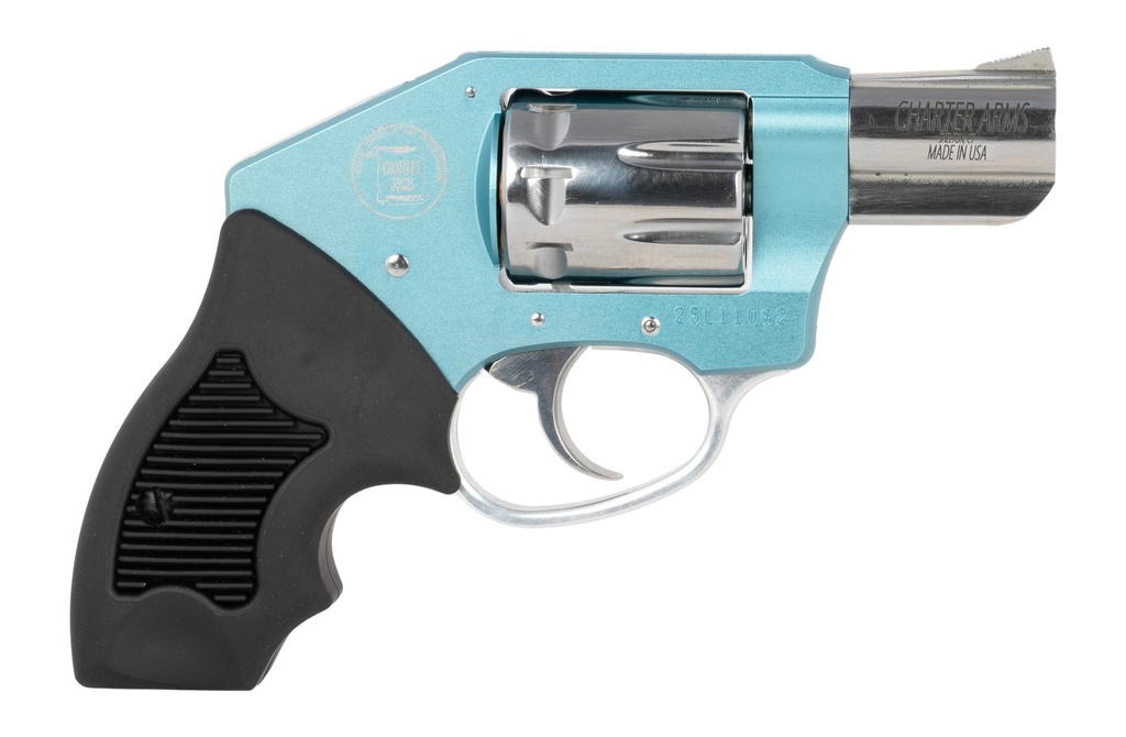 CHARTER ARMS WALKER 22LR 2 BLUE HI POLISH 8RD