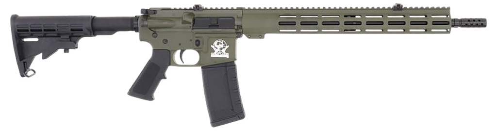 GREAT LAKES FIREARMS AR-15 223WYL 16 ODG 30RD