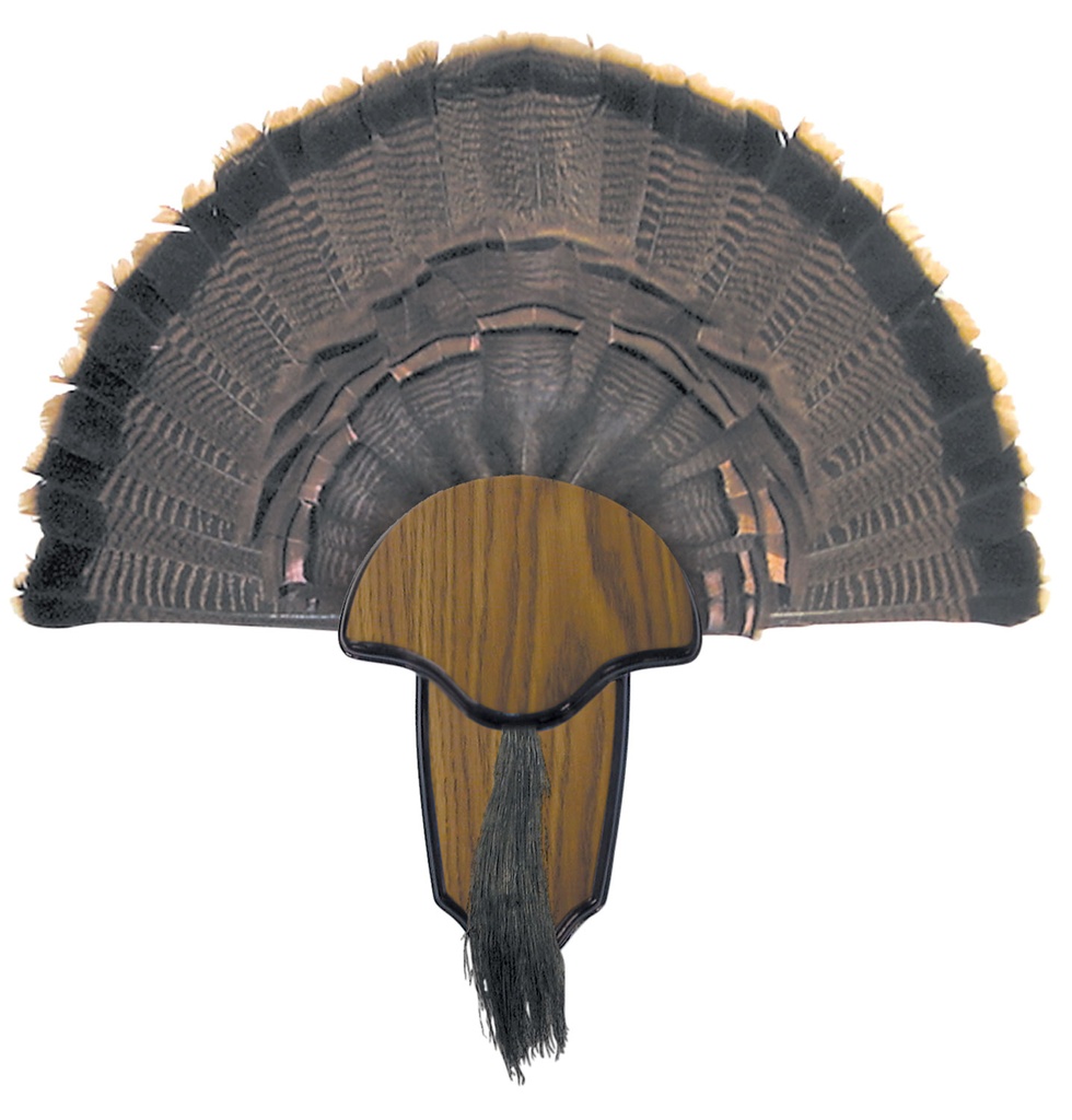 HUNTER'S SPECIALTIES HSP TKY TAIL & BEARD MOUNTING KIT