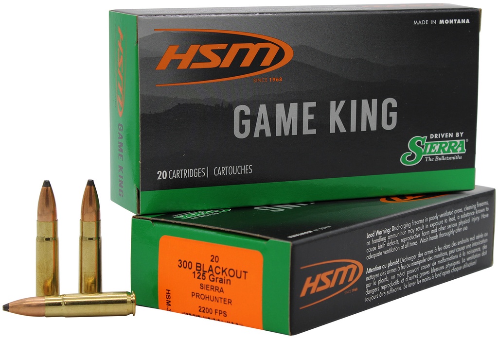 HSM AMMUNITION GAME KING 300BLK 125GR SBT 20/25