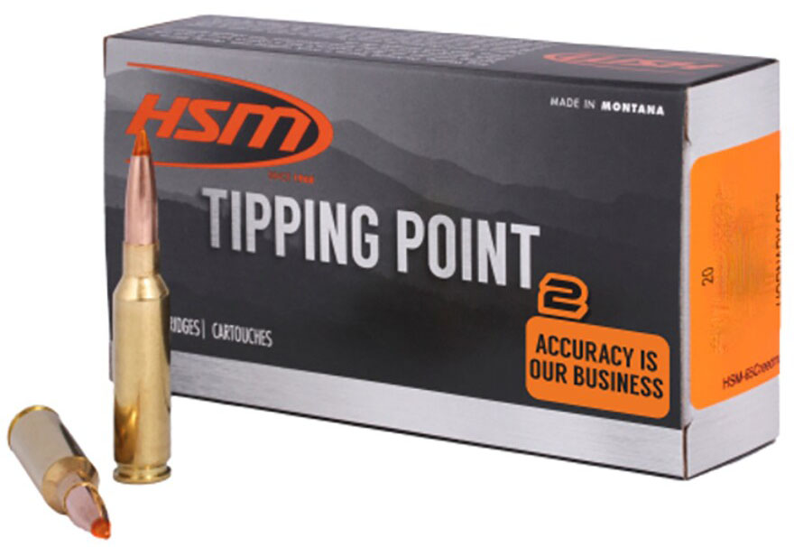 HSM AMMUNITION TIPPING POINT 2 65X84 140GR SST 20/25