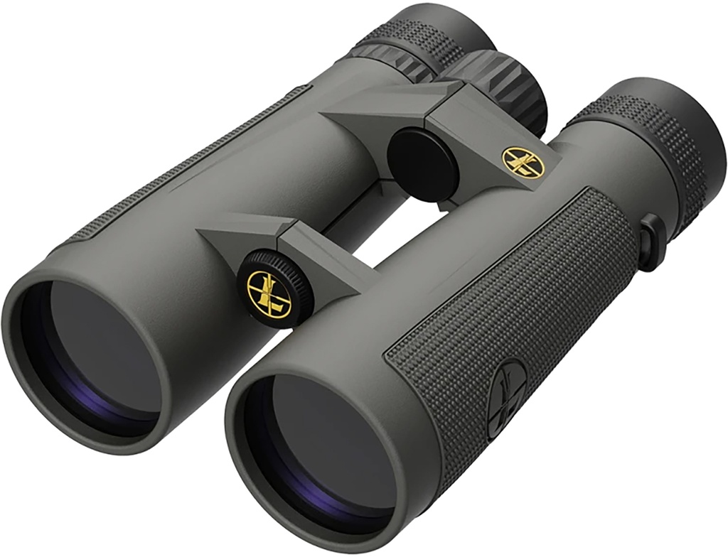 LEUPOLD BX5 SANTIAM HD 10X50MM GRAY