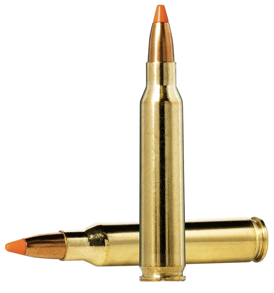 NORMA TIPSTRIKE 223REM 55GR 20/10
