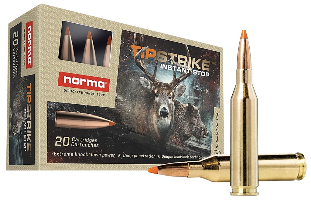 NORMA TIPSTRIKE 243WIN 76GR 20/10