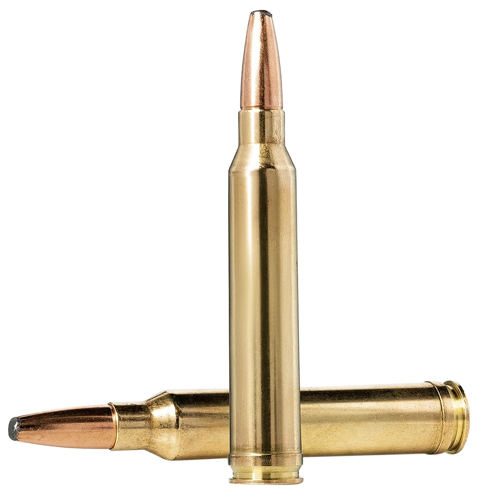NORMA ORYX 30-06 180GR 20/10