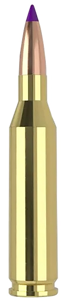 NOSLER AMMO BTA 243WIN 70GR BT 20/10