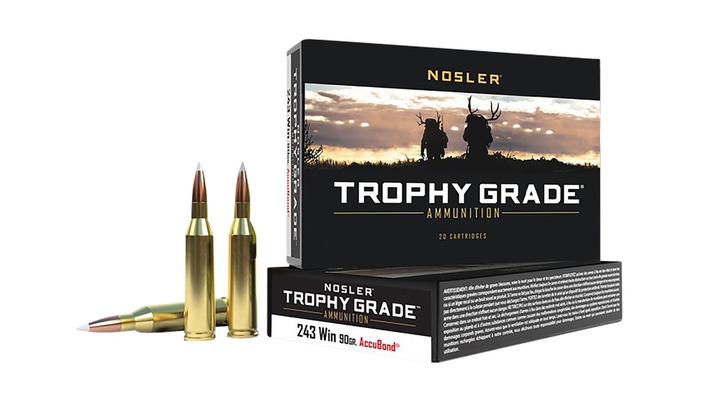 NOSLER AMMO 243WIN 90GR AB 20/10