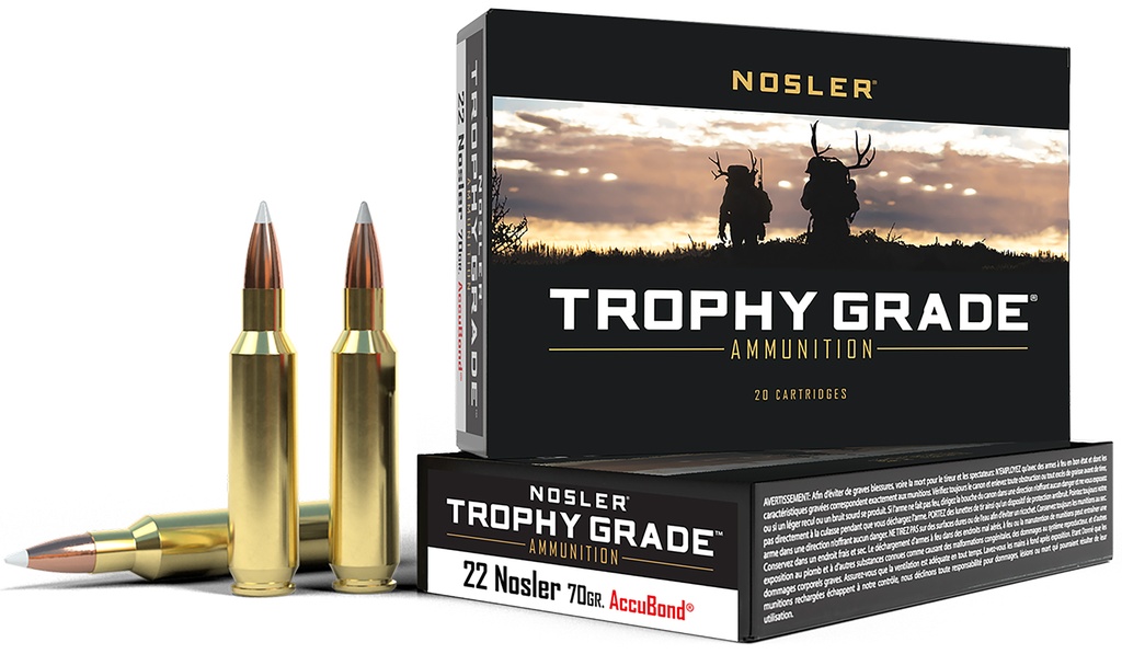 NOSLER AMMO 22NOS 70GR AB 20/10
